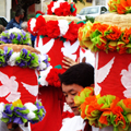 festa-do-divino (17)